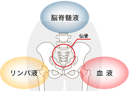 仙骨ケアについて