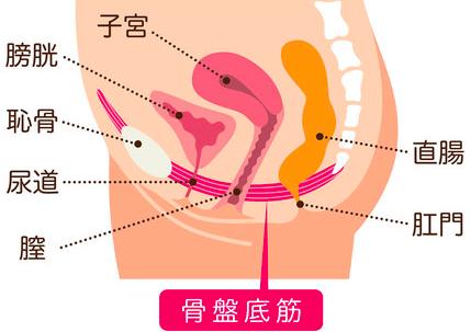 仙骨ケアについて