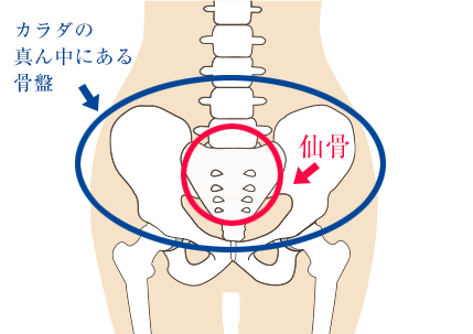 仙骨ケアについて